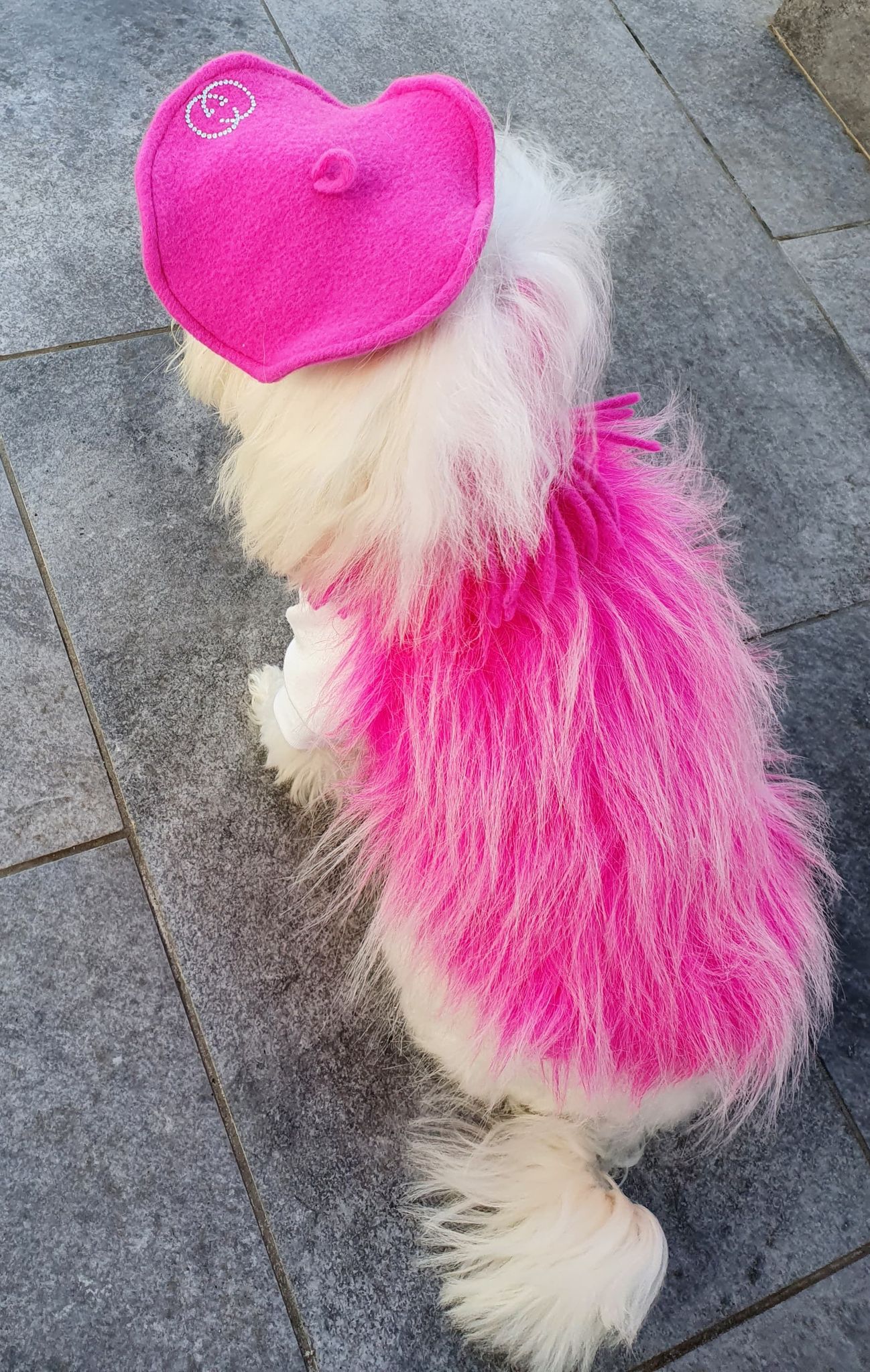 Pulcsi Pink Diva
