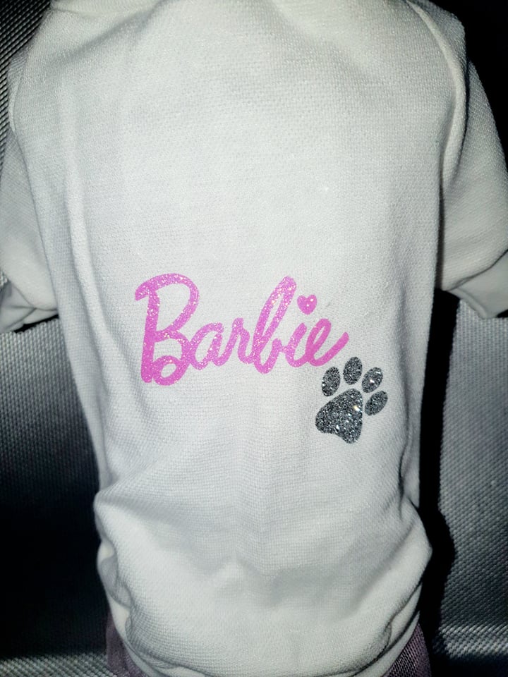 Barbie Friendship Ruha