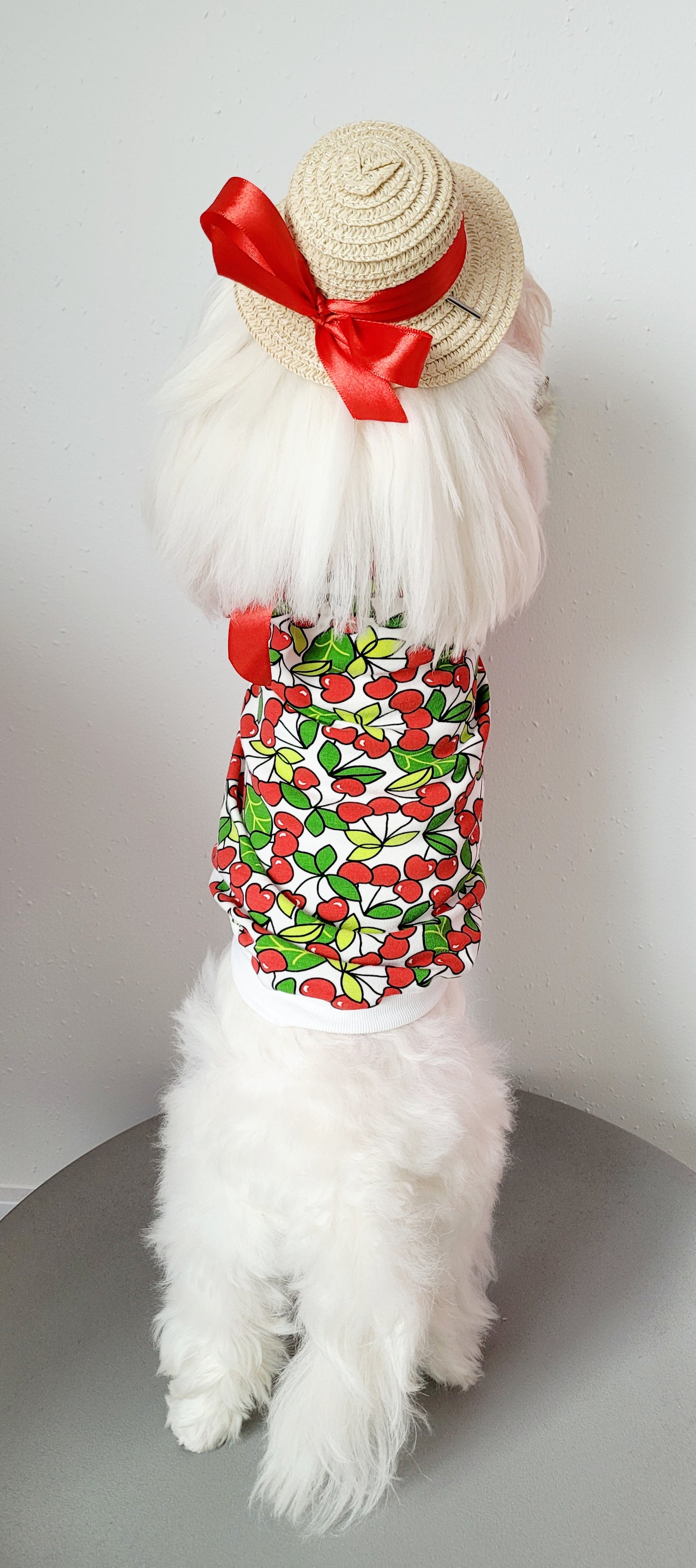 Póló Cherry