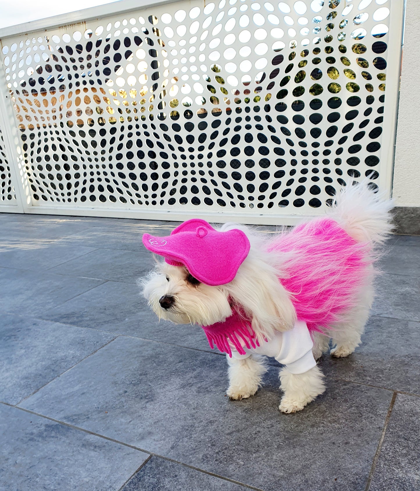 Sapka Diva... A díva pulcsihoz