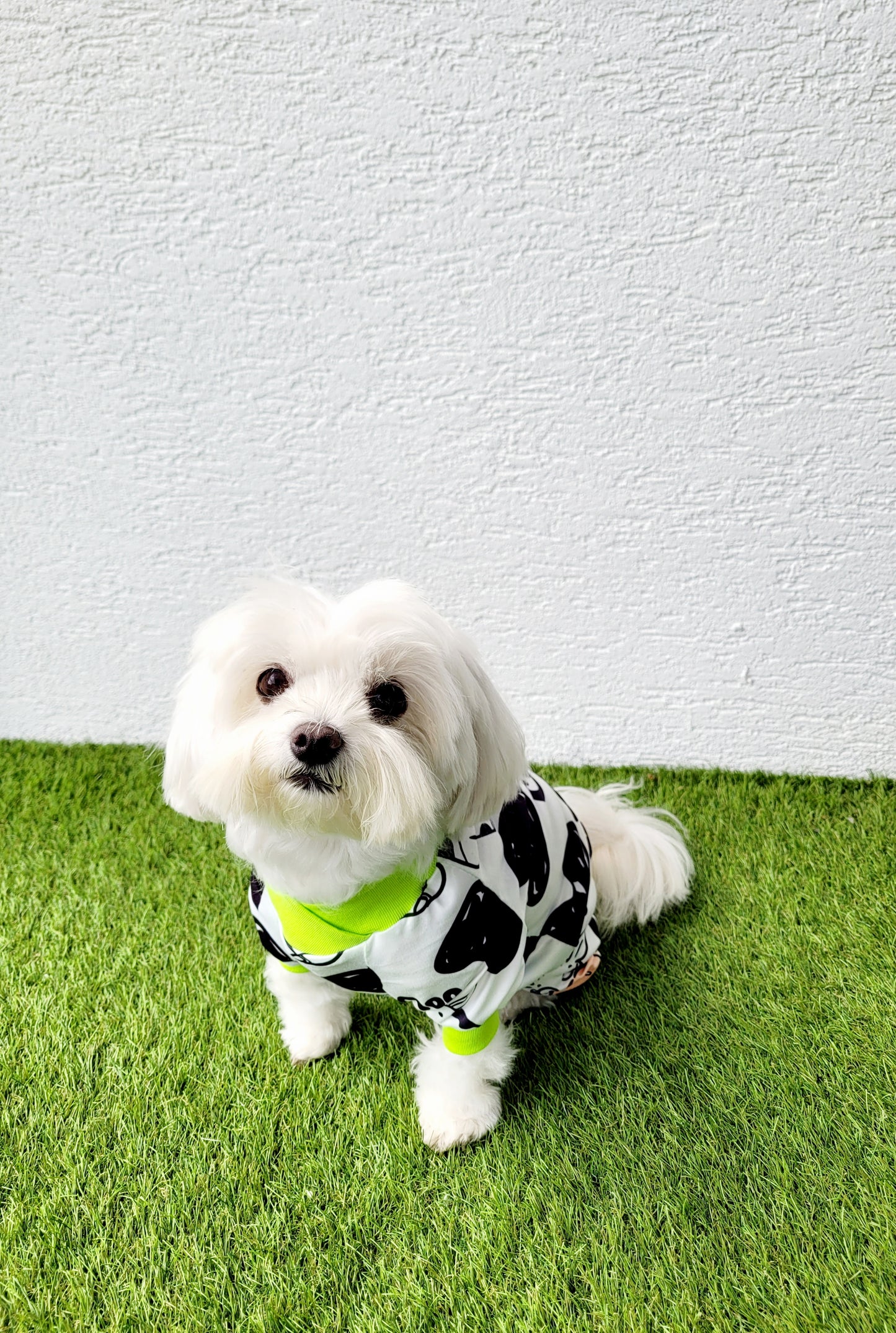 Póló "Cool Cow"