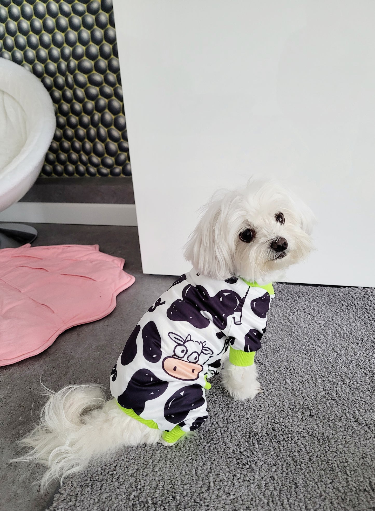 Overál "Cool Cow"