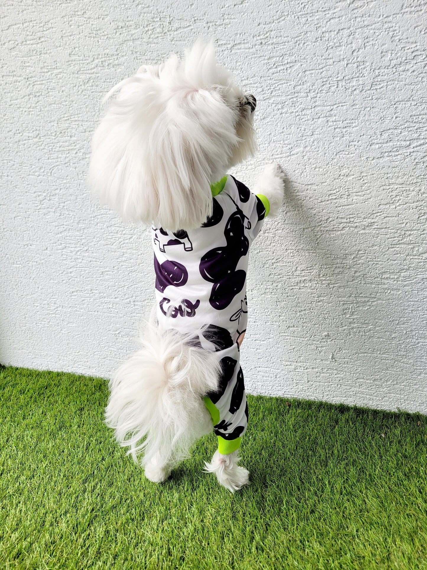 Overál "Cool Cow"