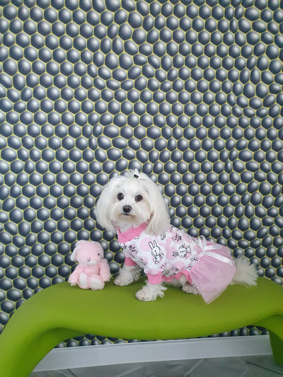 Nyuszis Overál/ Pizsama/ Ruha "Ballerina"