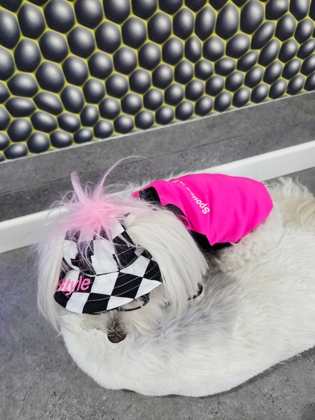 Cap "Style"